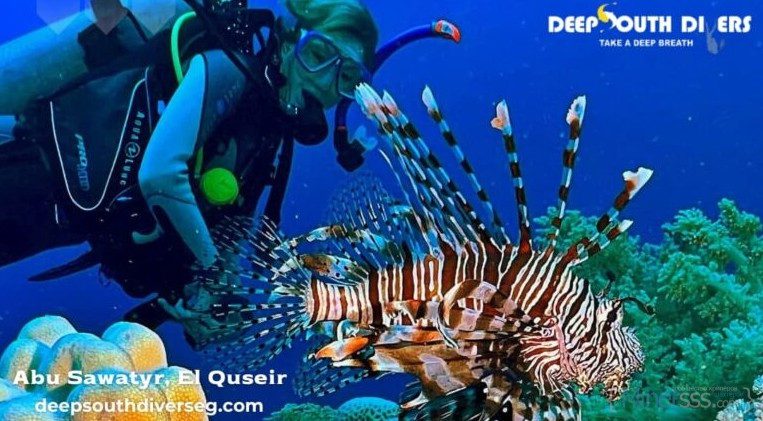 Experience the Ultimate Red Sea Underwater Adventure 4 1 3