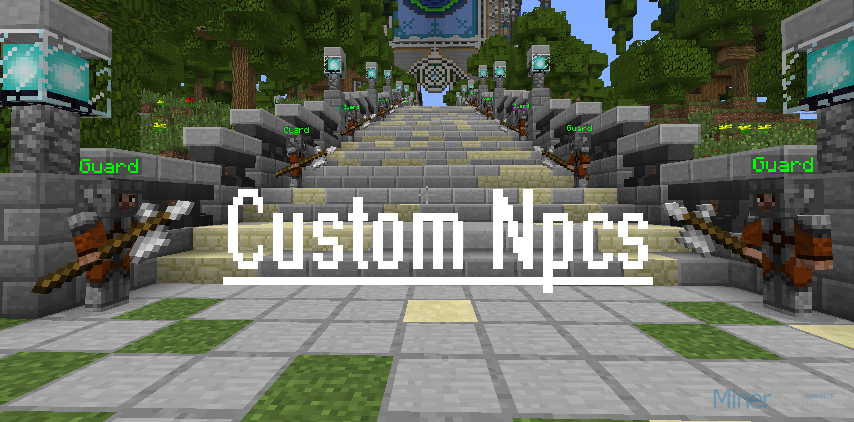 Custom NPC