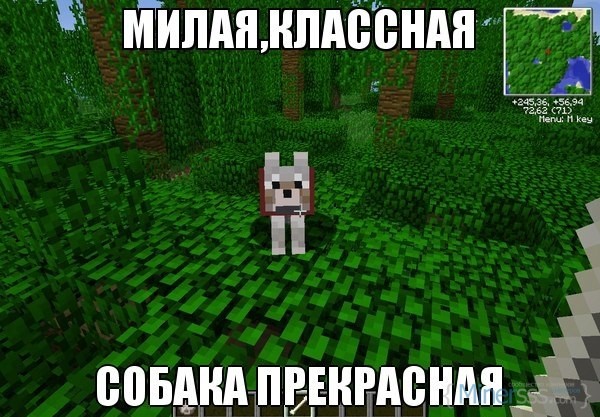 cs323417_mmodb_com_v323417647_9636__wpHSjHjMo