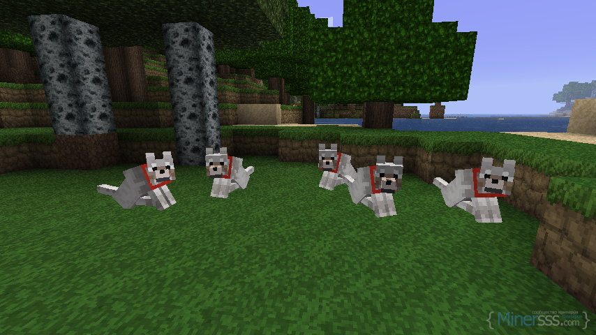 minecraft_dogs_by_pac_miamd3cyuki