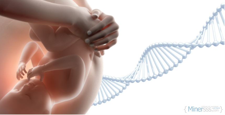 Neinvazivnyj test pri beremennosti