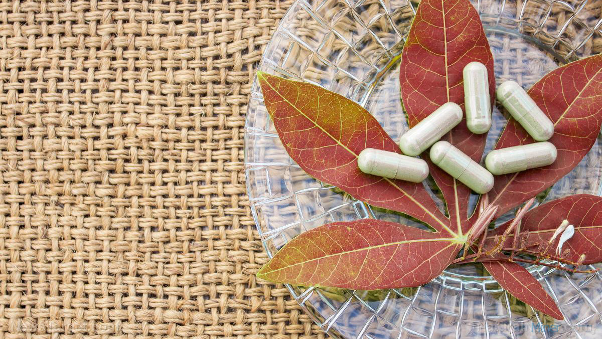 chinese medicine herbal pills