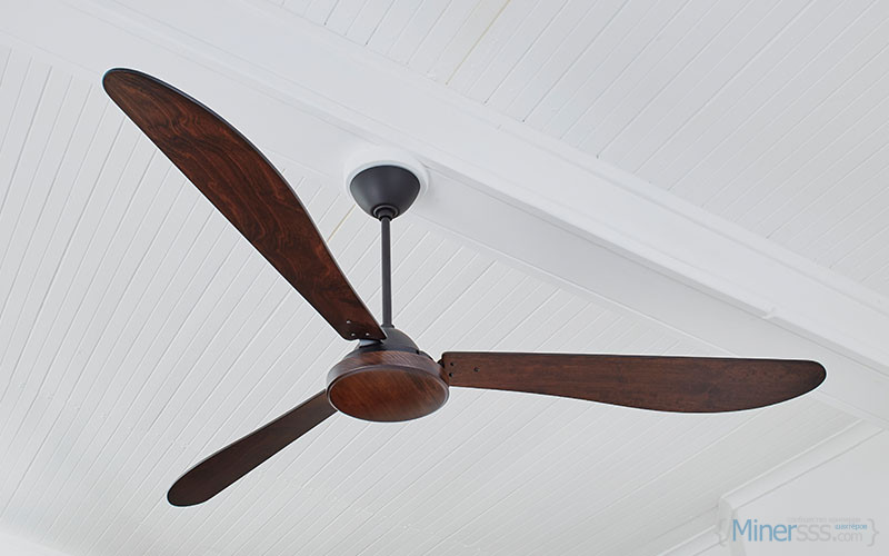 1.8m african blackwood original paddle fan