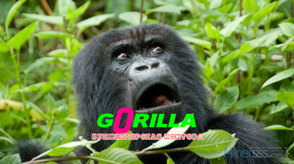Рабочее зеркало БК "Горилла" 1 1 5e7670a316d26