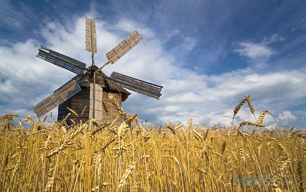 istockphoto 146911076 612x612 1