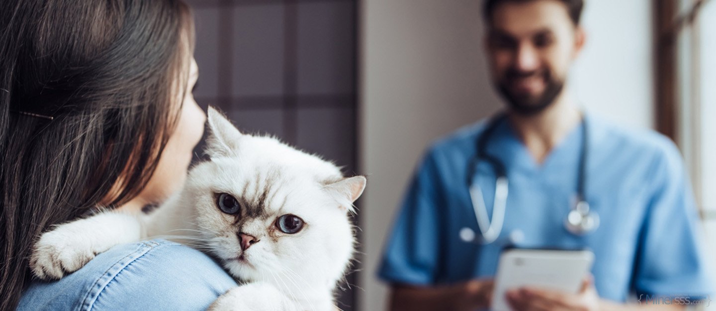 vets in dubai cover june 2019