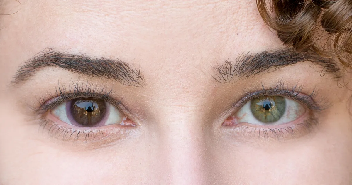 transitions contacts 2